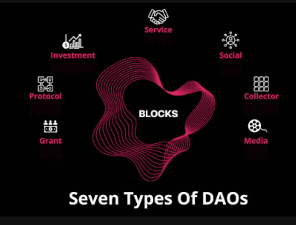 BLOCKS DAO identifies 7 types of DAOs to work with